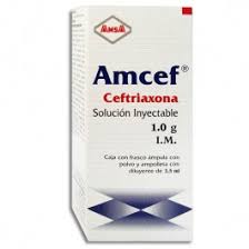 Amcef I.M. SOL INY 1g 3.5ml 1 Amp, Ceftriaxone