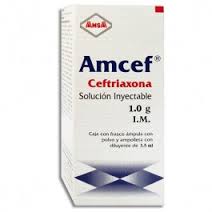 Amcef I.V. SOL INY 1g 10ml 10 ml, Ceftriaxone