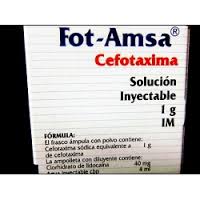 FOT-AMSA 1gr INJECTABLE SOL 4ml, Cefotaxime