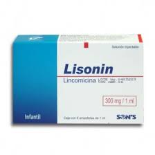 LISONIN SOL INJ 300 MG/1 ML 6 AMPS﻿, LINCOMICINA